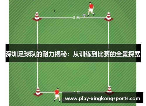 深圳足球队的耐力揭秘：从训练到比赛的全景探索