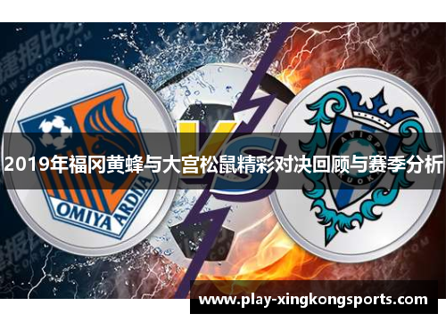 2019年福冈黄蜂与大宫松鼠精彩对决回顾与赛季分析